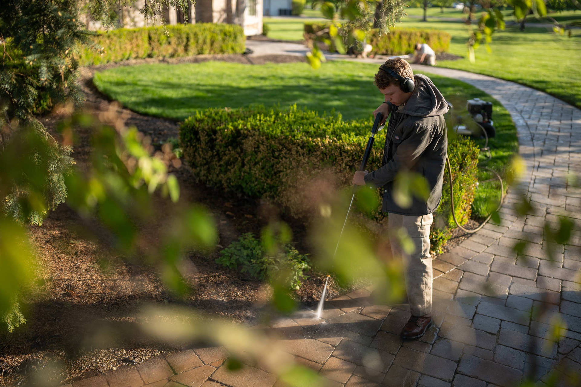 Landscape beds and trimmed shrubs being cleaned along a paver walkway